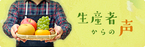 生産者からの声